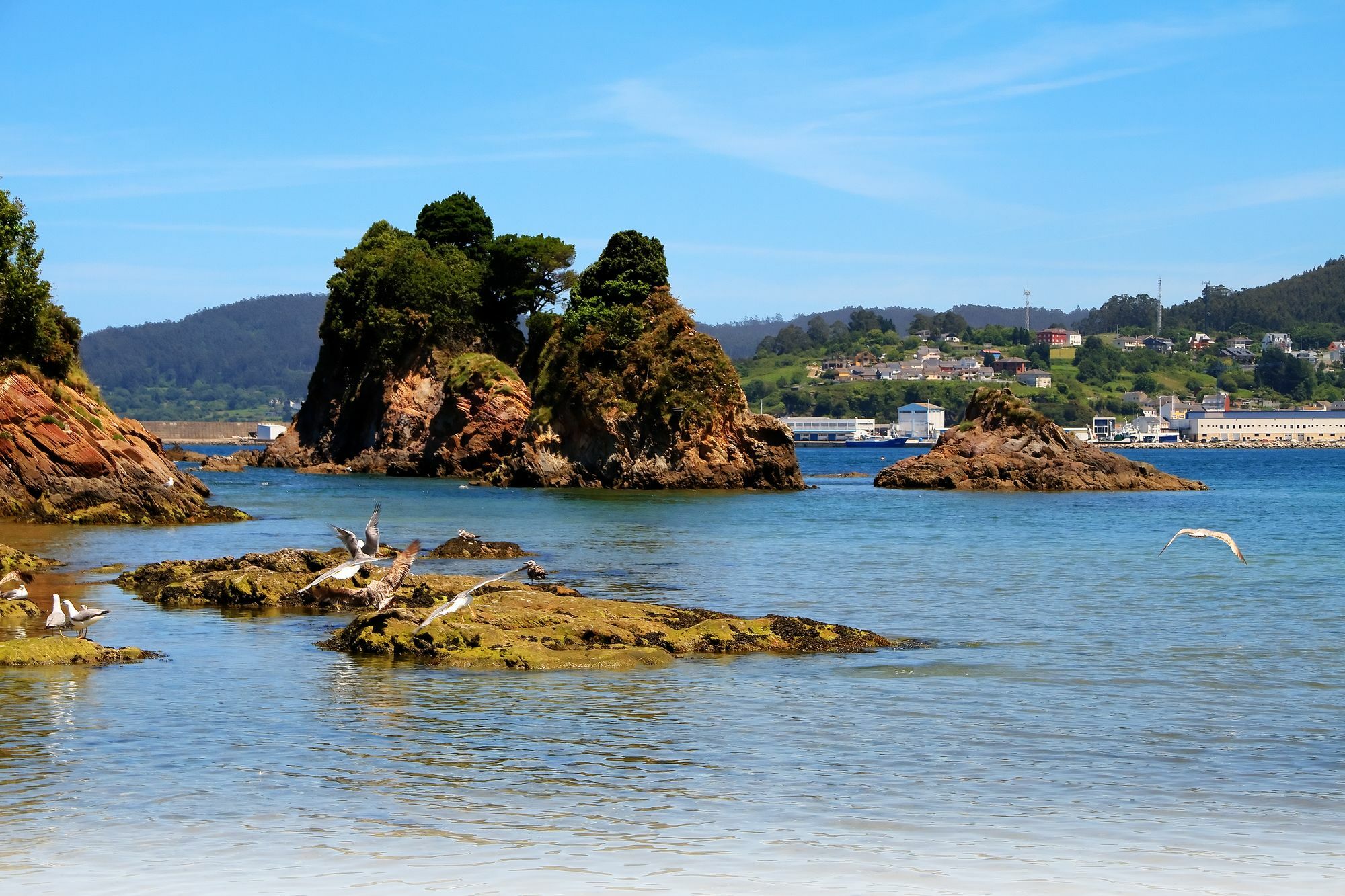 Duerming Sea View Viveiro Lägenhet Exteriör bild